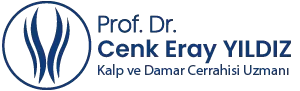 Prof. Dr. Cenk Eray Yıldız