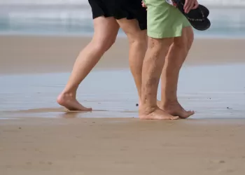 Varis Hakkında Sıkça Sorulan Sorular - Prof. Dr. Cenk Eray Yıldız Yanıtlıyor